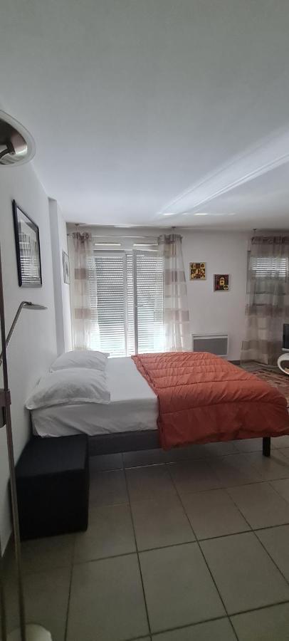 Beau Studio Tout Confort Au Calme Avec Parking . Apartment Villeurbanne Luaran gambar